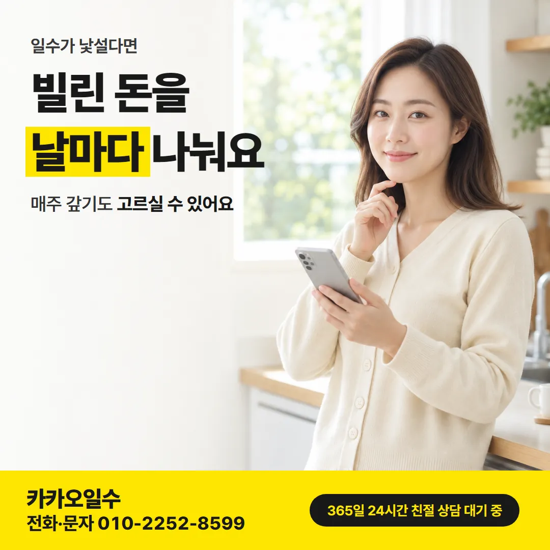 일수가 어떤 방식으로 갚는 돈인지 설명하는 카드